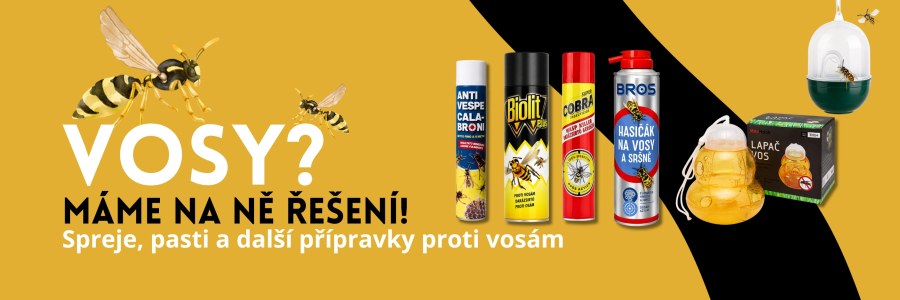 Vosy