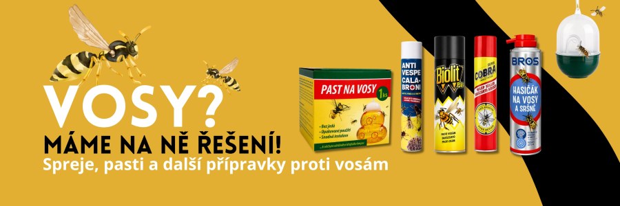 Vosy