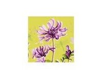 Ubrousek 33x33 3V Dariella 20ks