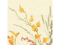 Ubrousek 40x40 Dsoft Fall Beauty