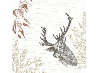 Ubrousek 40x40 Bio Dsoft Wood & Deer 60ks