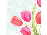 Ubrousek 40x40 Dsoft Painted Tulips 60ks