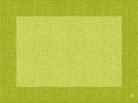 Prostírka 30x40 DNL Linnea Kiwi 100ks
