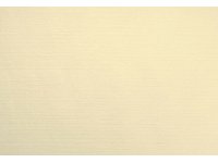 Prostírka 30x40 Velviq 75ks Cream