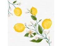 Ubrousek 40x40 Dsoft 60ks Lemon Fiesta