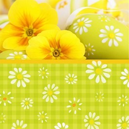 Ubrousek 33x33 3Vr Yellow Daisies 20ks Ubrousek 33x33 3Vr Yellow Daisies 20ks - Duni Ubrousky, kapsy na příbory 3 vrstvé ubrousky