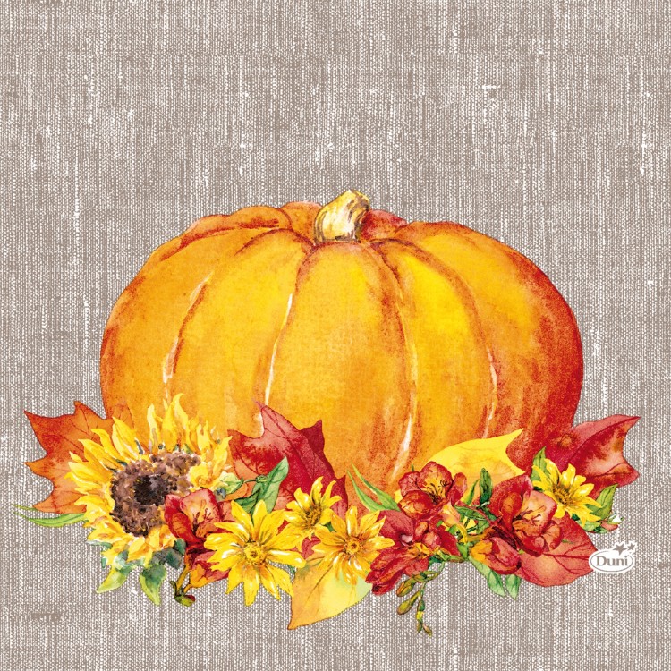 Ubrousek 33x33 3V Autumn Pumpkin 20ks Ubrousek 33x33 3V Autumn Pumpkin 20ks - Duni Ubrousky, kapsy na příbory 3 vrstvé ubrousky