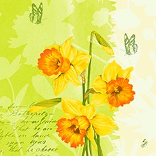 Ubrousek 40x40 3V Spring Flowers 250ks Ubrousek 40x40 3V Spring Flowers 250ks - Duni Ubrousky, kapsy na příbory 3 vrstvé ubrousky