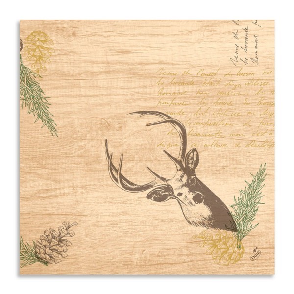 Ubrousek 40x40 Dsoft My Deer 60ks Ubrousek 40x40 Dsoft My Deer 60ks - Duni Ubrousky, kapsy na příbory Airlaid 40x40