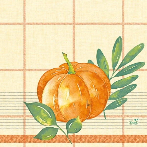 Ubrousek 33x33 3V Pumpkin Spice 50ks Ubrousek 33x33 3V Pumpkin Spice 50ks - Duni Ubrousky, kapsy na příbory 3 vrstvé ubrousky