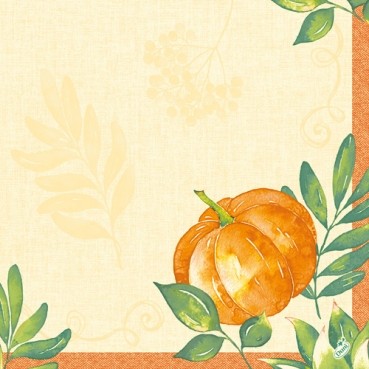 Ubrousek 40x40 DSoft Pumpkin Spice 60ks