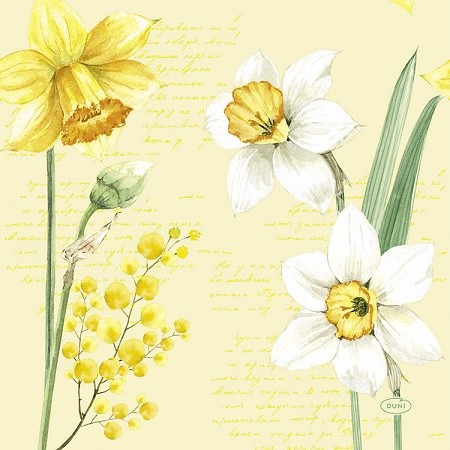 Ubrousek 33x33 3Vr Spring Daffodil 20ks