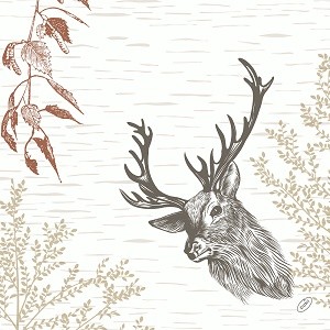 Ubrousek 40x40 Bio Dsoft Wood & Deer 60ks