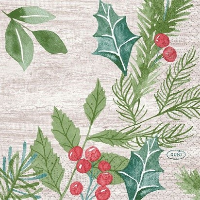 Ubrousek 24x24 3Vr Winter Greenery 50ks - Duni Ubrousky, kapsy na příbory 3 vrstvé ubrousky