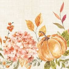 Ubrousek 40x40 Dsoft Spicy Pumpkin Ubrousek 40x40 Dsoft Spicy Pumpkin - Duni Ubrousky, kapsy na příbory Airlaid 40x40