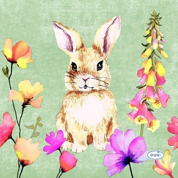 Ubrousek 33x33 3vr Floral Friends 20ks - Duni Ubrousky, kapsy na příbory 3 vrstvé ubrousky