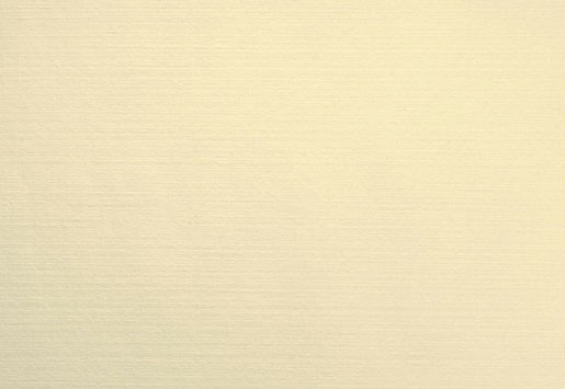 Prostírka 30x40 Velviq 75ks Cream - Duni Ubrusy, šerpy, prostírky Prostírky & podložky dortové