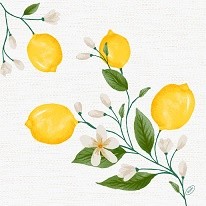 Ubrousek 40x40 Dsoft 60ks Lemon Fiesta - Duni Ubrousky, kapsy na příbory Dunilin 40x40